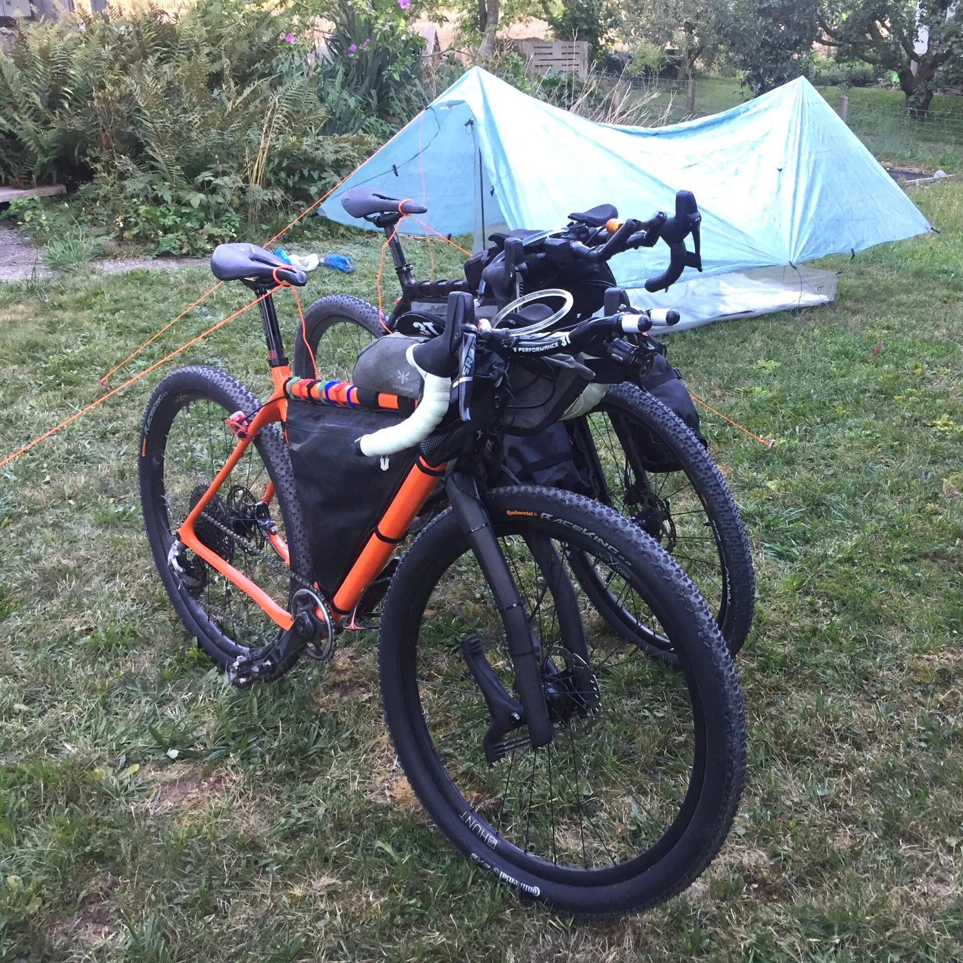 testing-scaled-e1698159735987